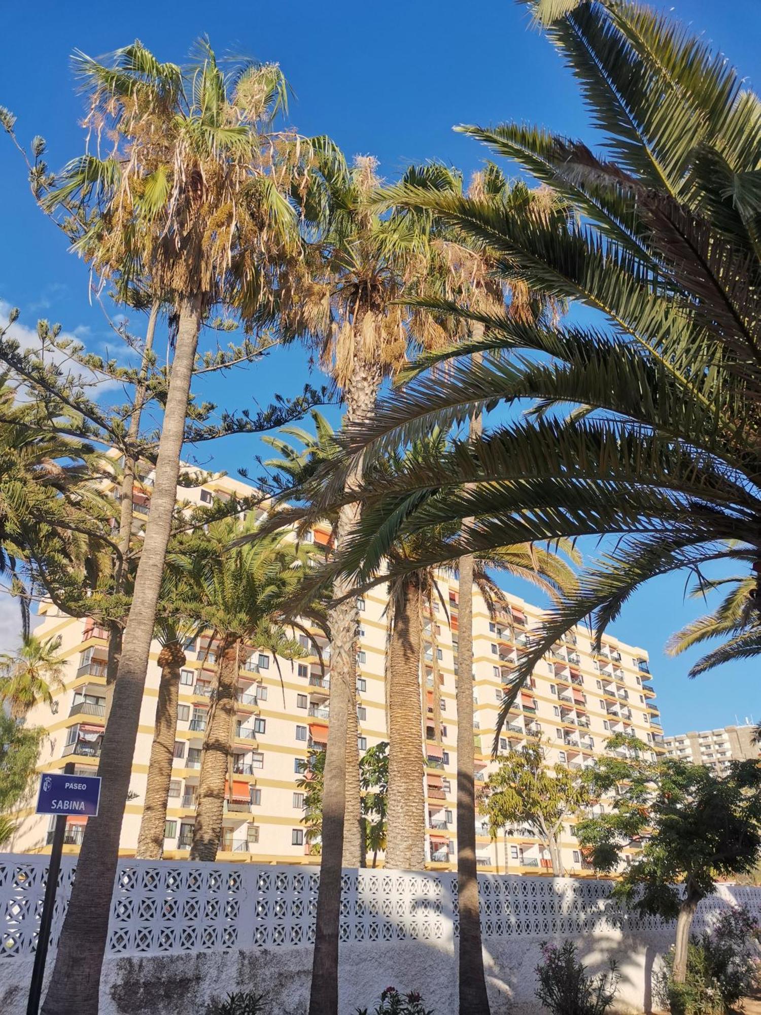 Los Cristianos Achacay Appartement standing Vue panoramique Exterior foto